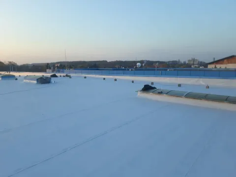 Hala Otopeni – fotografie 1