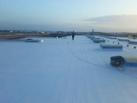 Hala Otopeni – fotografie 5