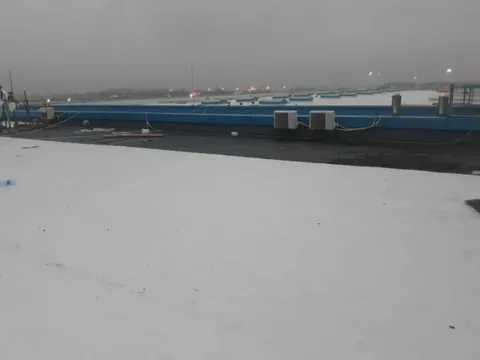 Hala Otopeni – fotografie 7