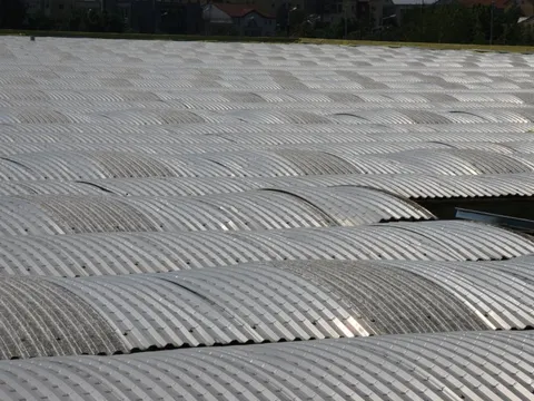 Montaj acoperis si hidroizolatii Draxlmaier Timisoara – fotografie 13