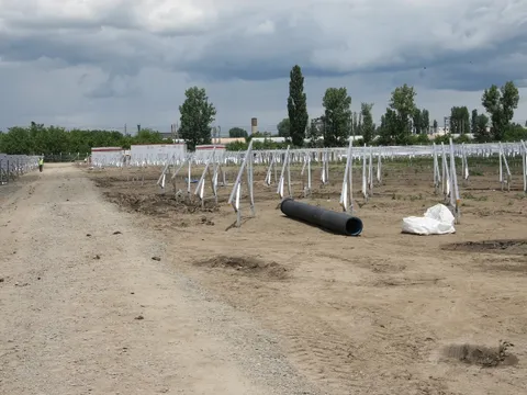 Montaj panouri fotovoltaice in cadrul West Park Ploiesti – fotografie 40