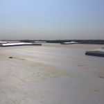 hidroizolatie-acoperis-hala-CTP-Chiajana007